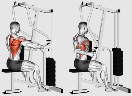 Chúng ta nên tập trung vào hàng hay kéo để tập lưng tốt hơn?