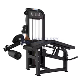 Với Rất Nhiều Máy Tập Gym, Bạn Nên Tập Chân Như Thế Nào?
