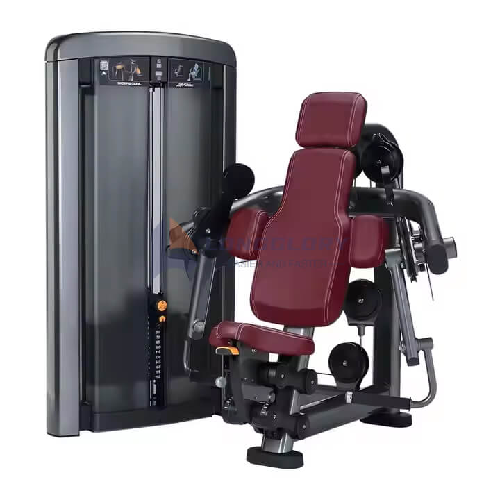 Bicep Curl và Triceps Machine