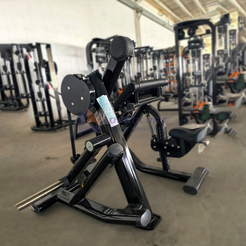 Commercial Use Biceps Curl